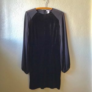 Sheer Long Sleeve Velvet Dress